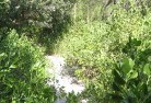 Alumy Creeksustainable-landscaping-16.jpg; ?>